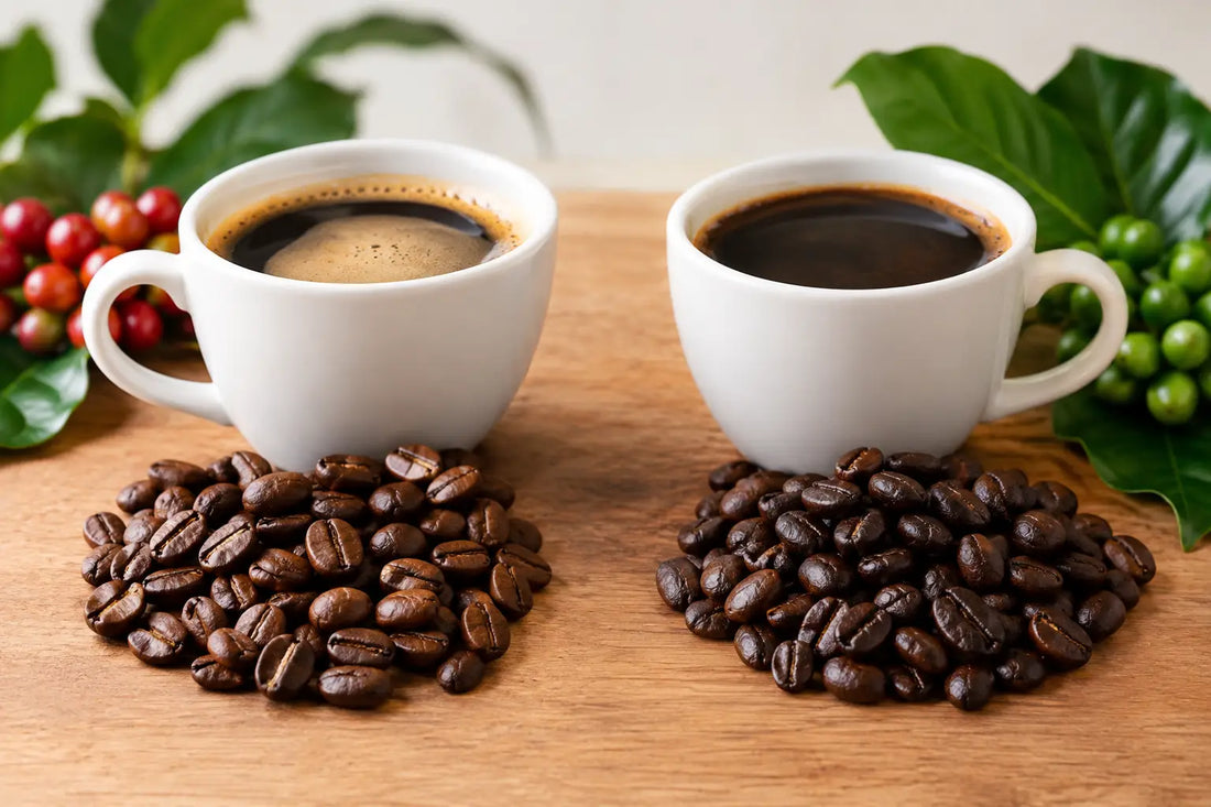 Arabica Robusta Differences: Which Cup Fits You?