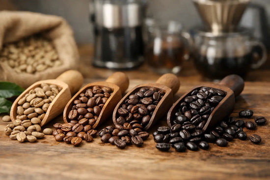 Coffee Roast Levels Explained Simply