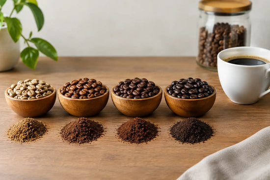 Coffee Roast Guide for Your Perfect Daily Brew